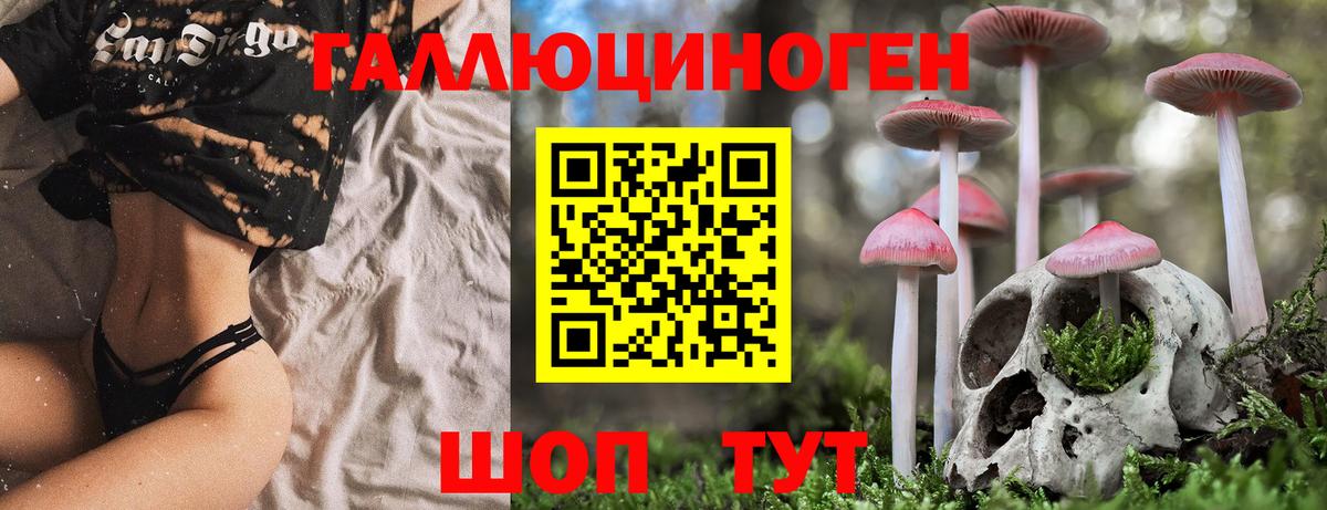 Псилоцибиновые грибы Cubensis Мурманск