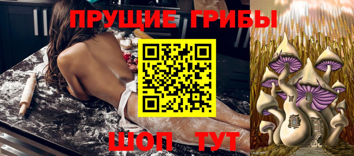 Псилоцибиновые грибы Cubensis  Вход с VPN  Мурманск 